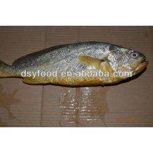 Hot sale yellow croaker gift box package